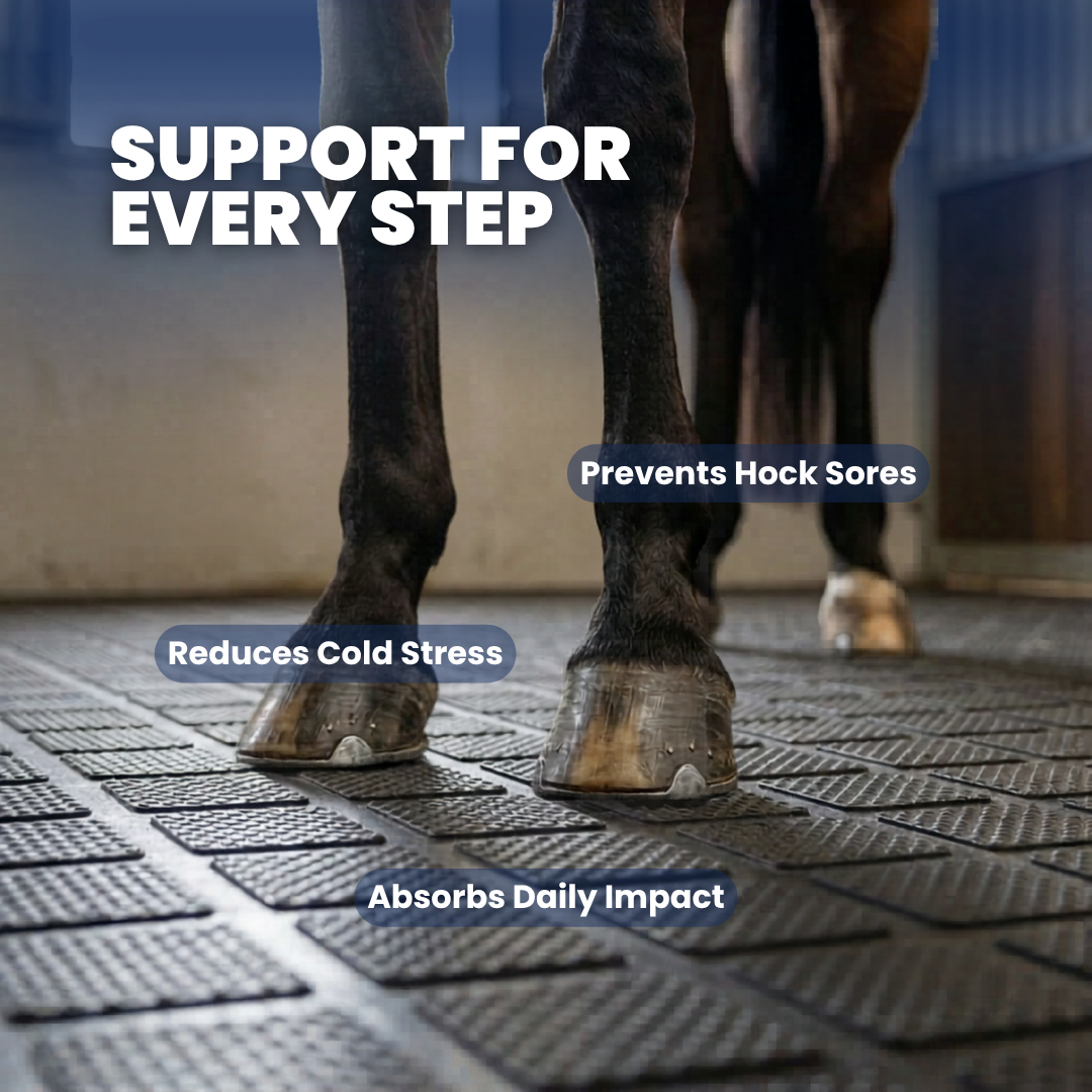 Chevaroo Horse Heat Preservation Mats
