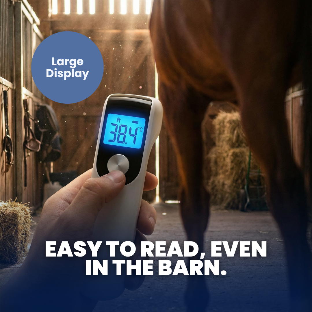 Chevaroo Hoof & Leg Temperature Detector