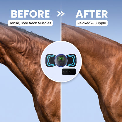 Chevaroo Horse Neck EMS Massager