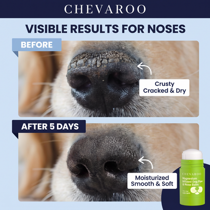 Chevaroo Magnesium Infused Dog Paw & Nose Balm
