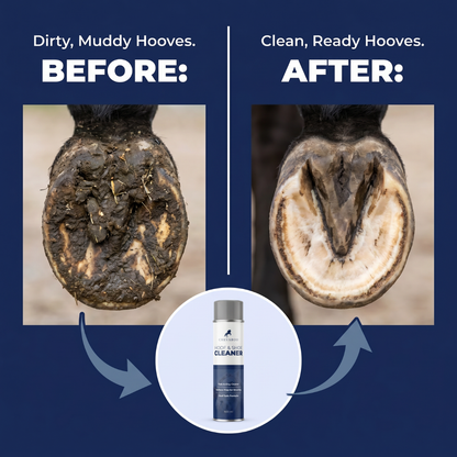 Chevaroo Hoof & Shoe Cleaner