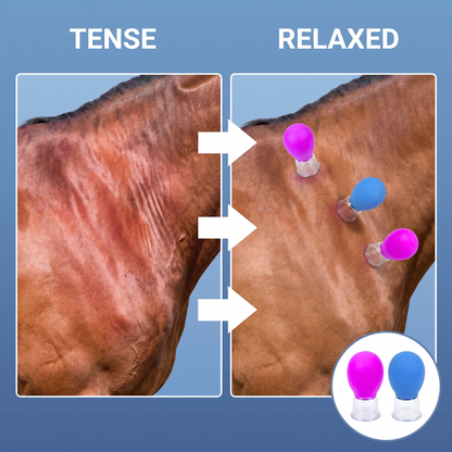 Chevaroo Horse Neck Mini Cupping Therapy