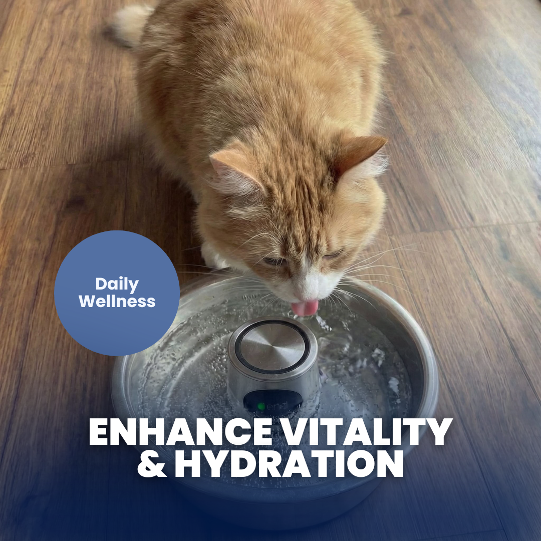 Chevaroo Dog/Cat Hydrogenated Water