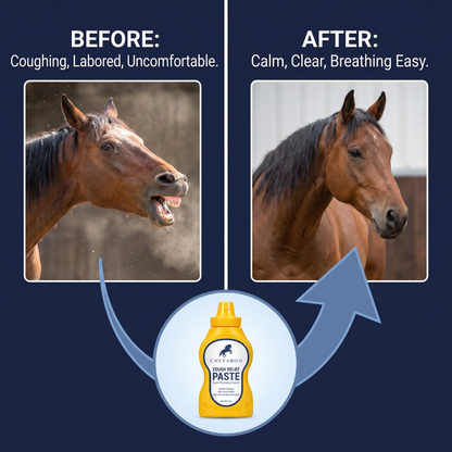 Chevaroo Cough Relief Paste