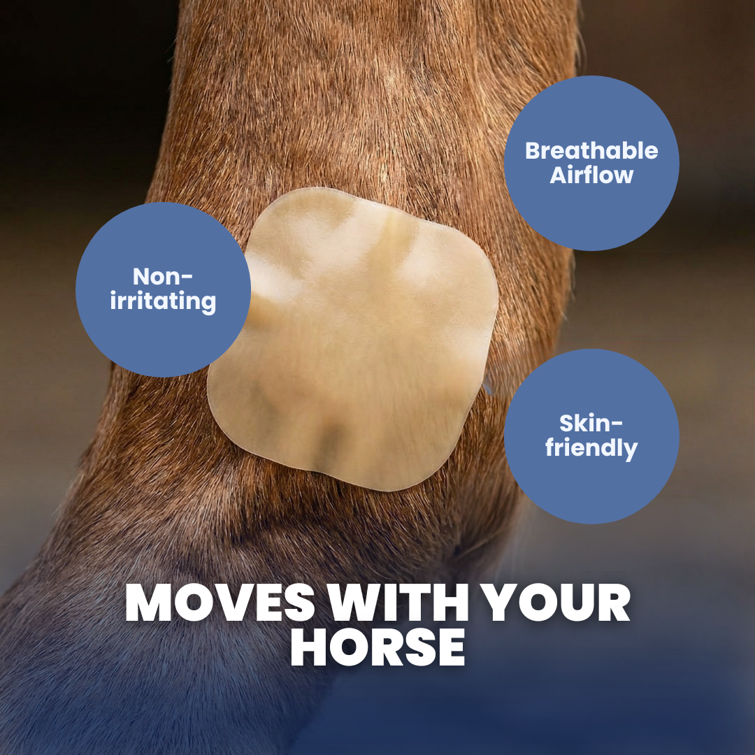 Chevaroo Horse Hydrocolloid Gel Patch Wound Healing