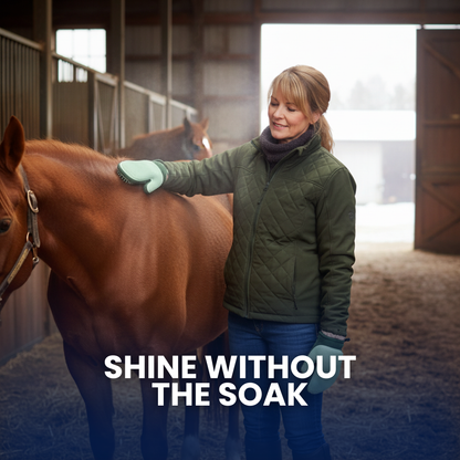 Chevaroo Hand Steam Brush