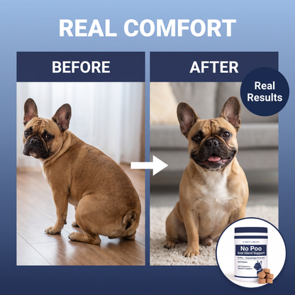 Chevaroo No Poo Anal Gland Soft Chew Support