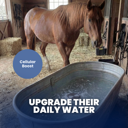 Chevaroo Horse Hydrogenated Water