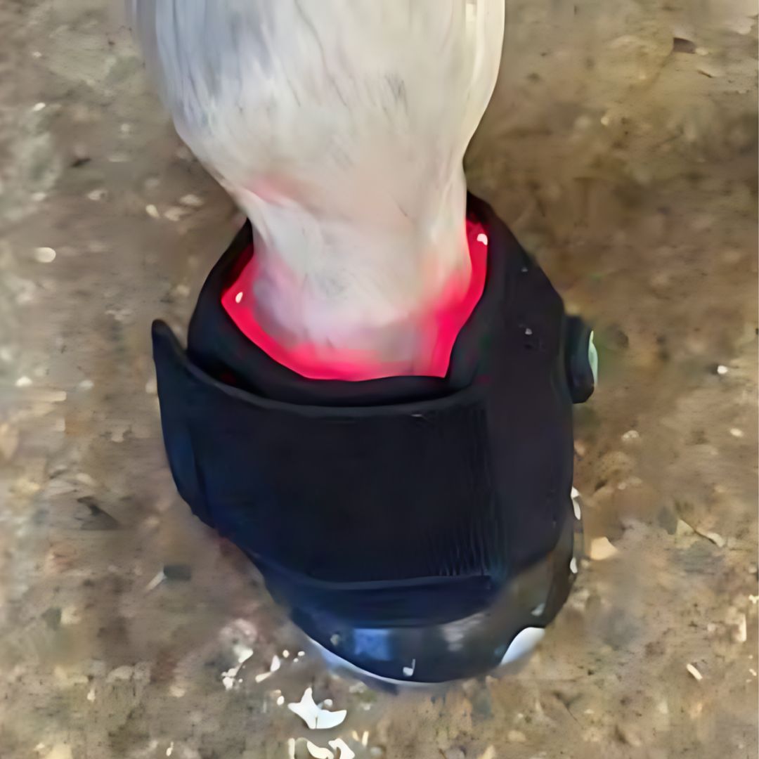 Chevaroo Hooves Warmer