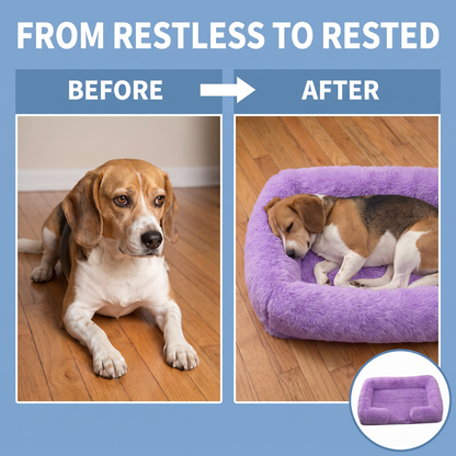Chevaroo Lavender Calming Dog Bed