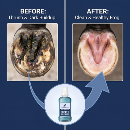 Chevaroo Horse Hoof Thrush Copper Treatment