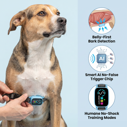 Chevaroo Dog AI Belly Bark Pro