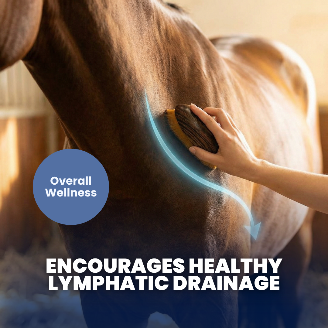 Chevaroo Lymphatic Drainage Massager