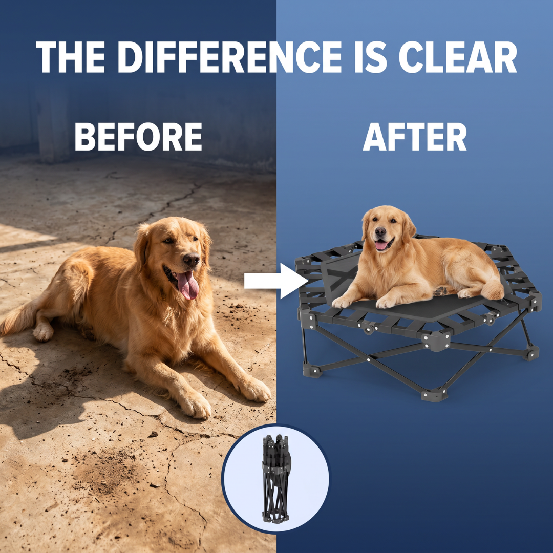 Chevaroo Indoor & Outdoor Elevated Foldable Dog Bed