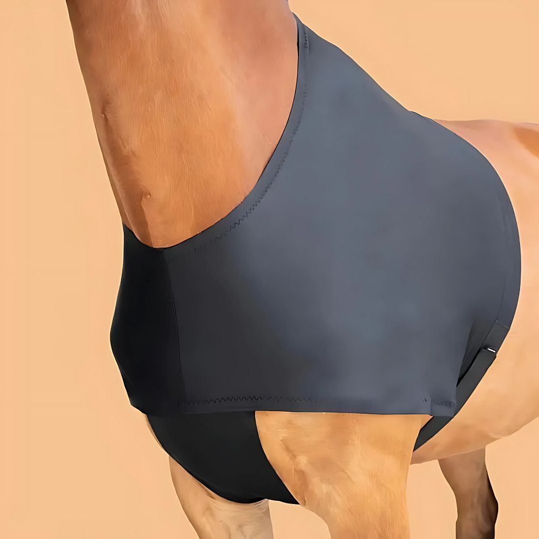 Chevaroo Horse Posture Corrector