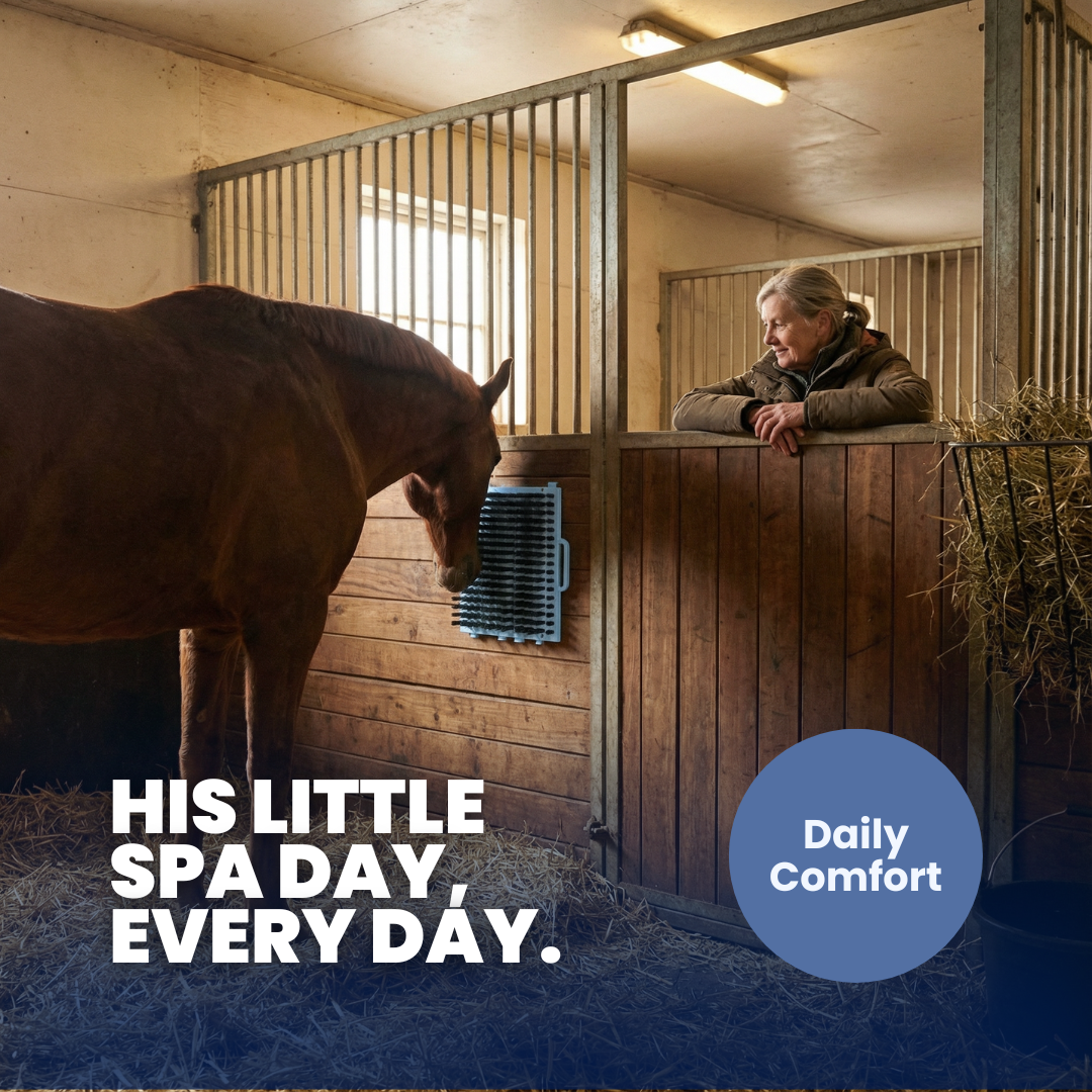 Chevaroo Horse Scratcher 2.0