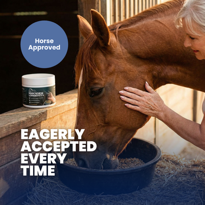 EquiOptimus NMN Horse Longevity+
