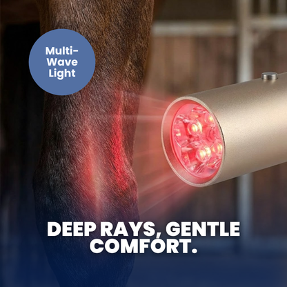 Chevaroo Blue & Red Light Therapy Torch