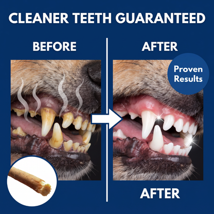 Chevaroo Dog Self-Cleaning XXL Miswak Stick