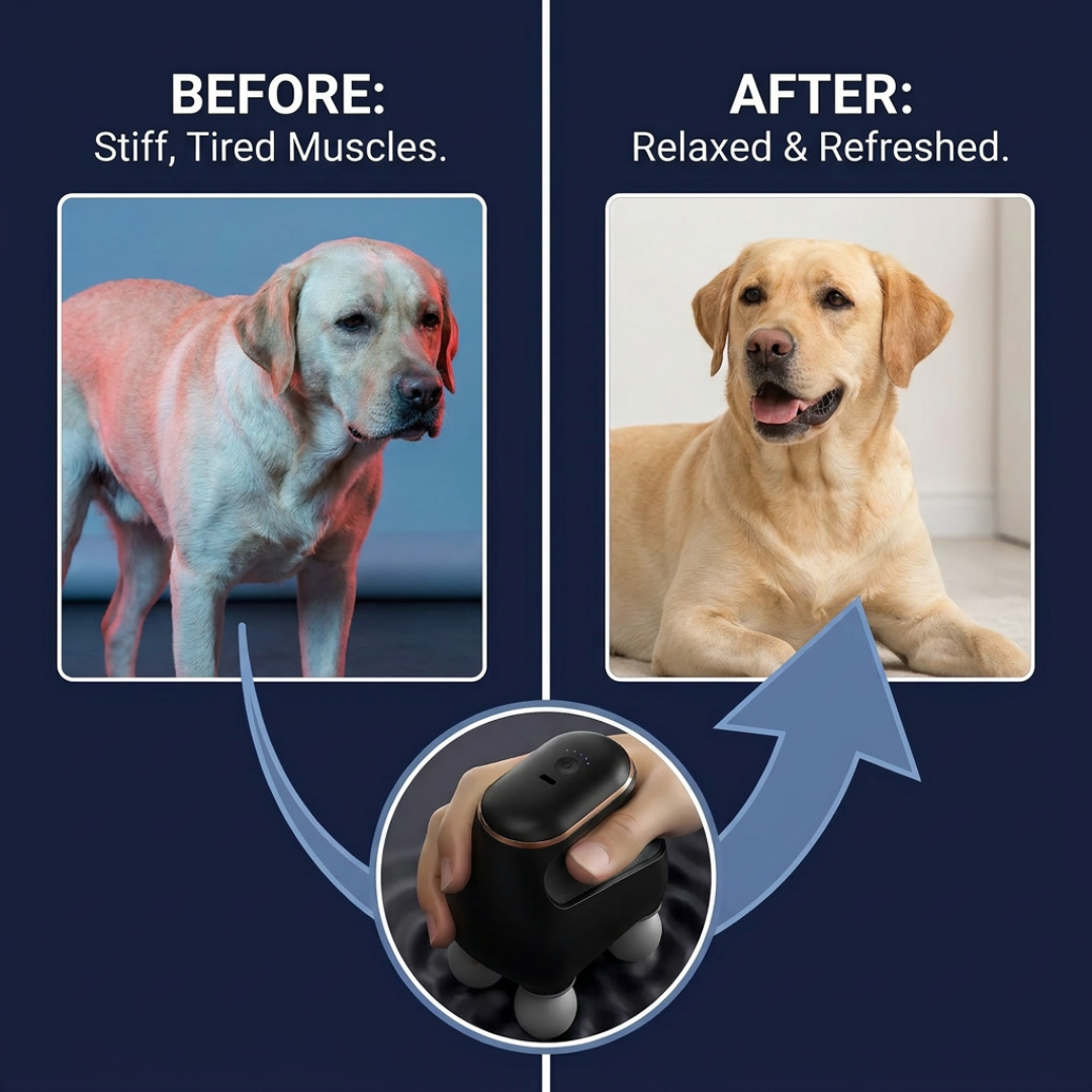 Chevaroo Dog 4 Heads Massager