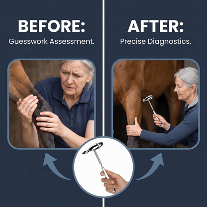 Chevaroo Reflex-Point Diagnostic Hammer