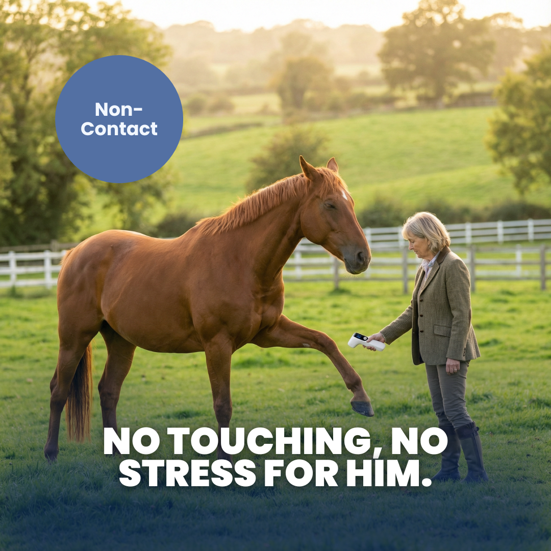 Chevaroo Hoof & Leg Temperature Detector