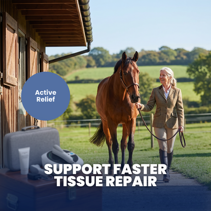 Chevaroo Horse SonicTend Ultrasound
