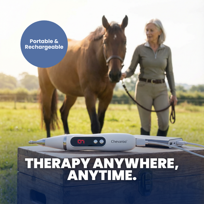 Chevaroo Electronic Acupuncture