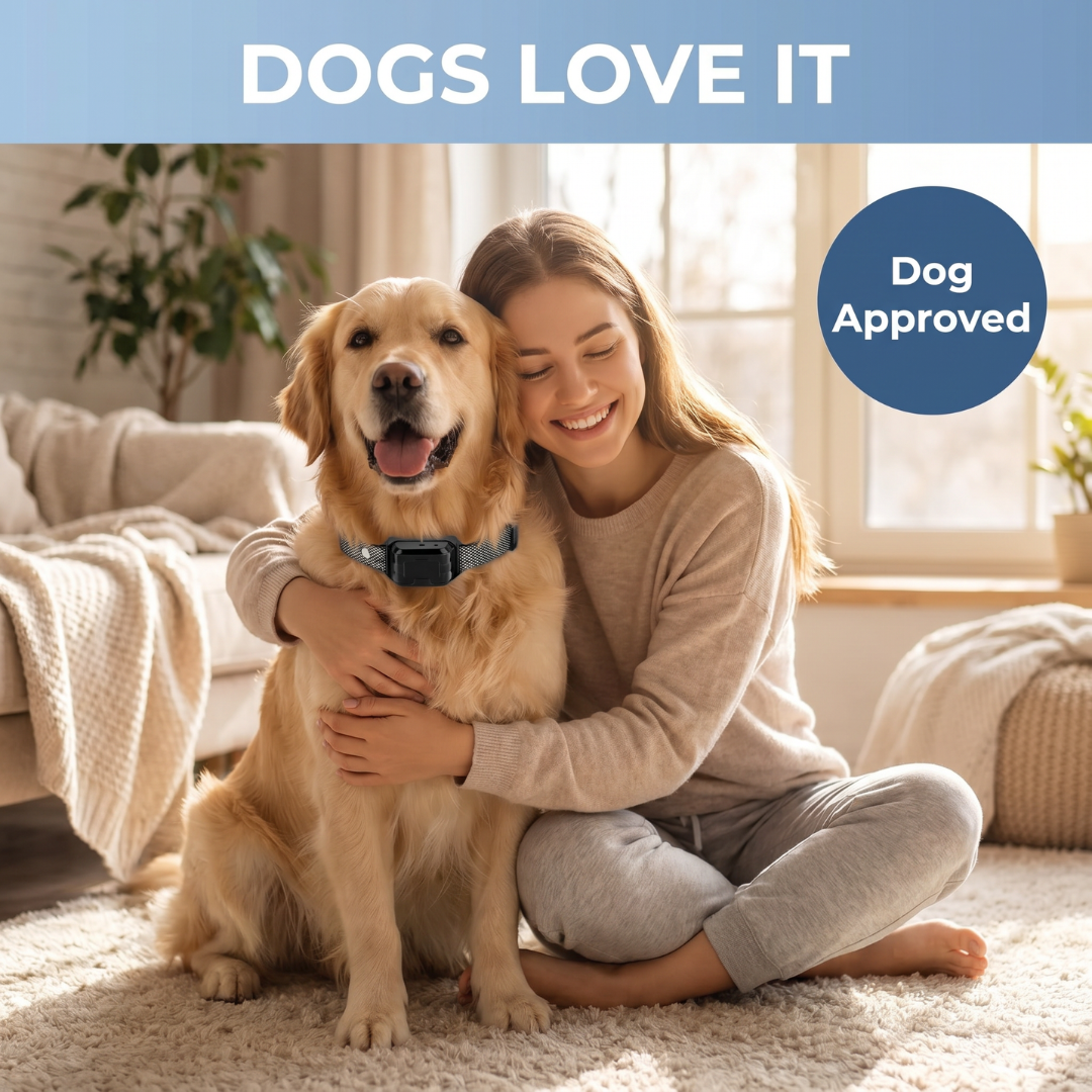 Chevaroo Dog Pheromone Anti-Barking/Calming Collar