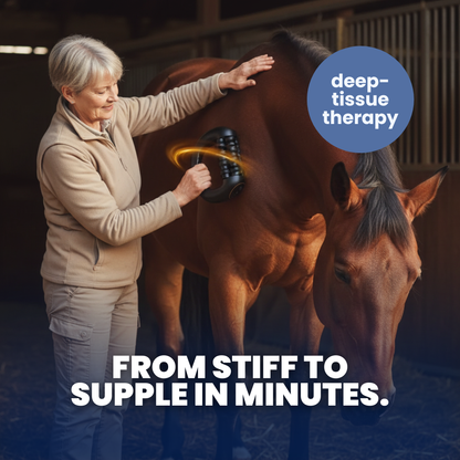 Chevaroo Circular Massager