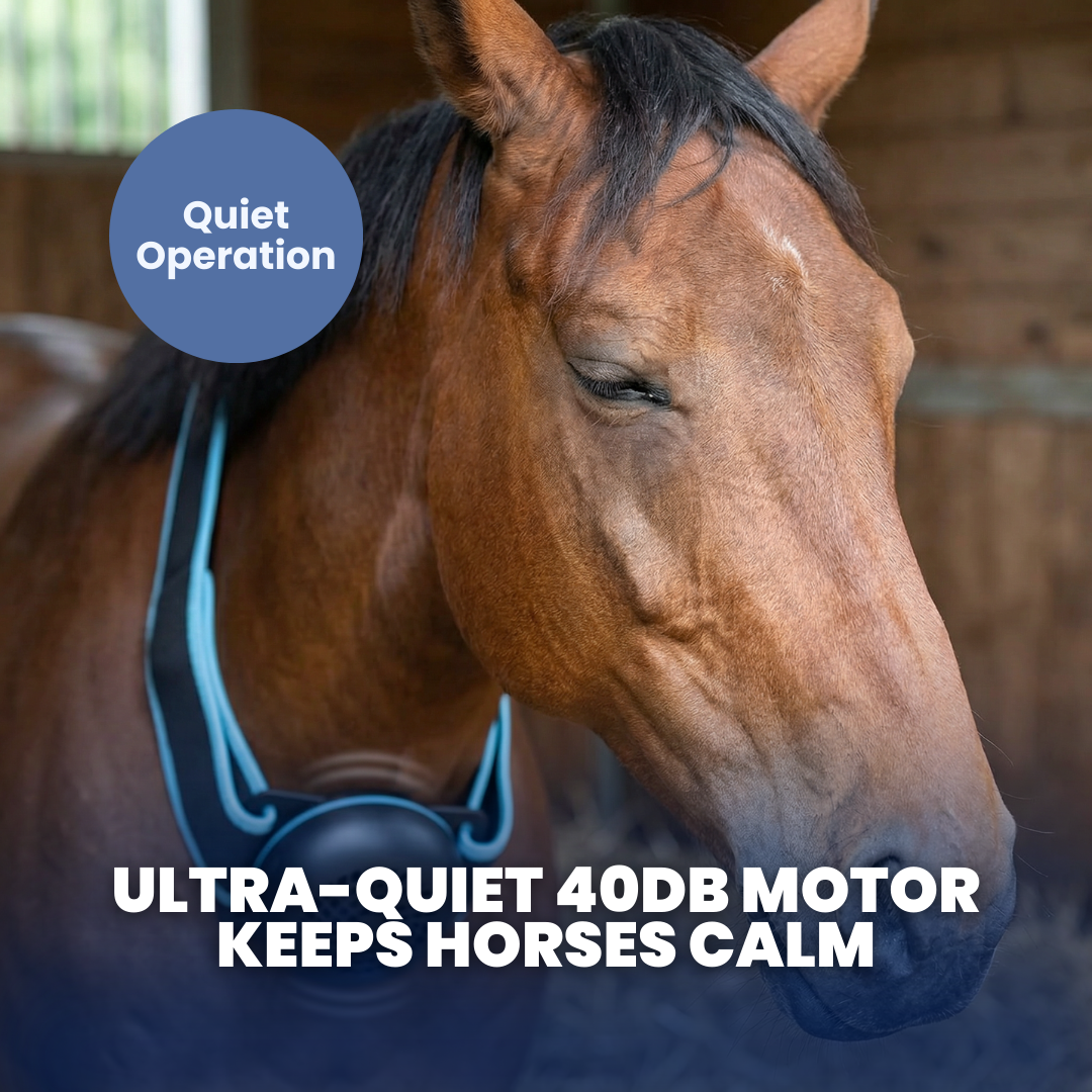 Chevaroo 2-In-1 Heat Cold Therapy