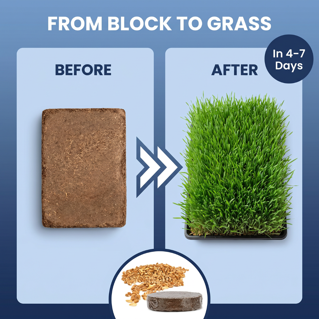 Chevaroo Fresh DIY Indoor & Outdoor Potty Training Grass Mat