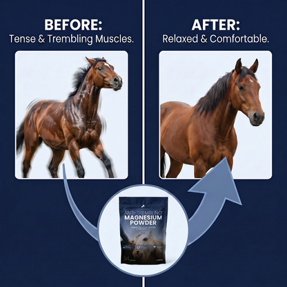 Chevaroo Anti-Trembling Magnesium Powder