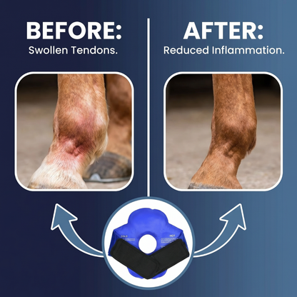 Chevaroo Horse Cold Therapy Wrap