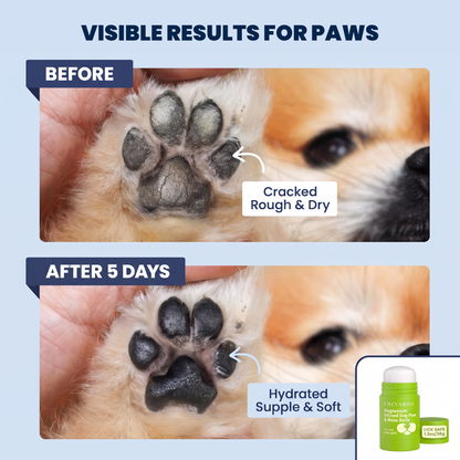 Chevaroo Magnesium Infused Dog Paw & Nose Balm