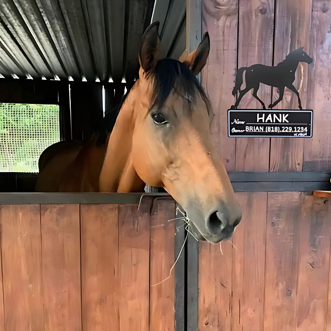 Chevaroo Metal Horse Tag