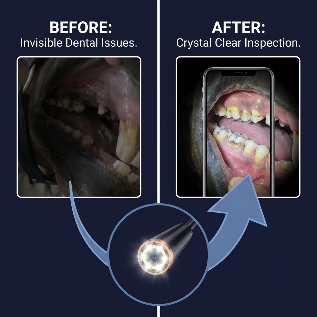 Chevaroo Dental Health Intraoral Camera