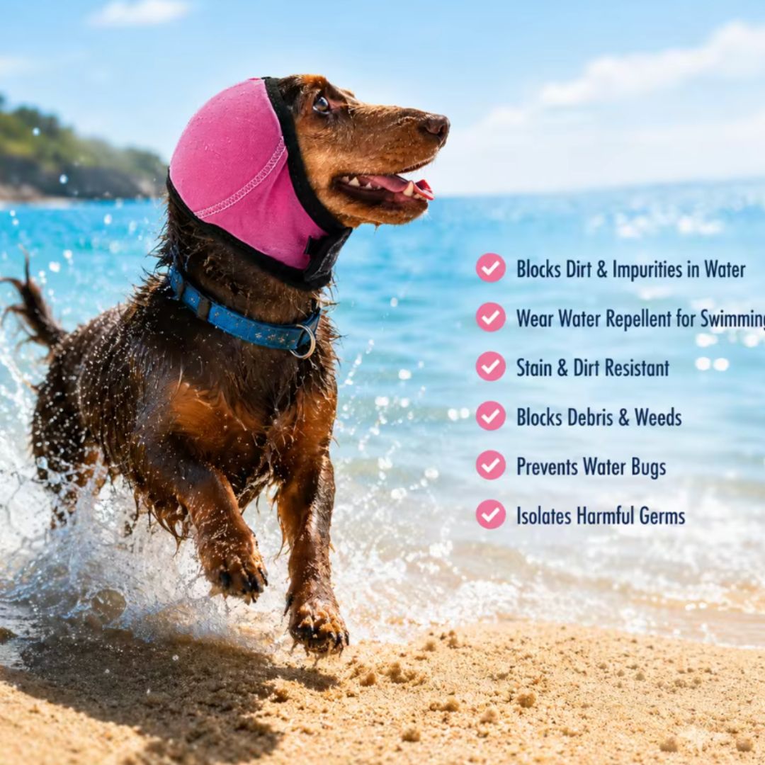 Chevaroo Extra Padded Anti-Barking & Calming Dog EarMuff