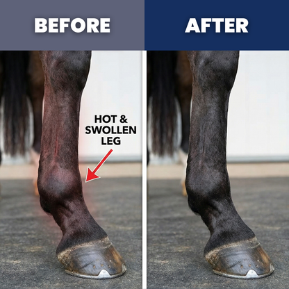 Chevaroo Equi-Cool Therapy Wrap