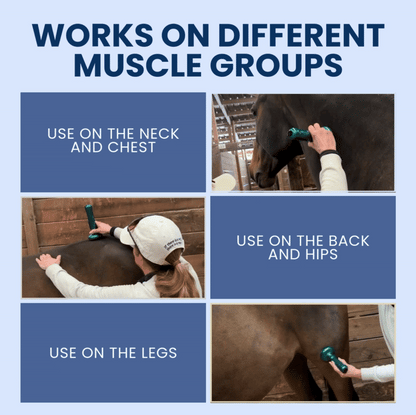 Chevaroo Horse Rotlicht-Schröpftherapie