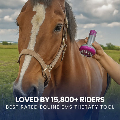 Chevaroo Equine Rest & Recovery EMS