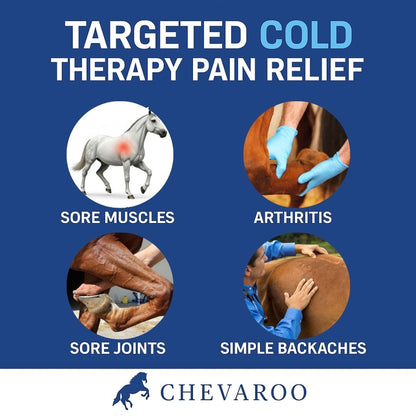 Chevaroo Inflammation Aerosol Cooling