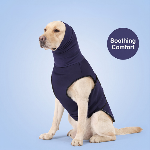 Chevaroo Weighted Calming EarMuff Vest