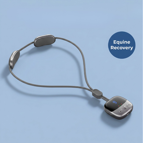 Chevaroo Neck Massager 2.0