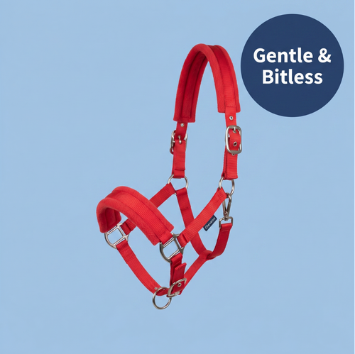 Chevaroo Gentle Nose Padded Bitless Bridle 2.0