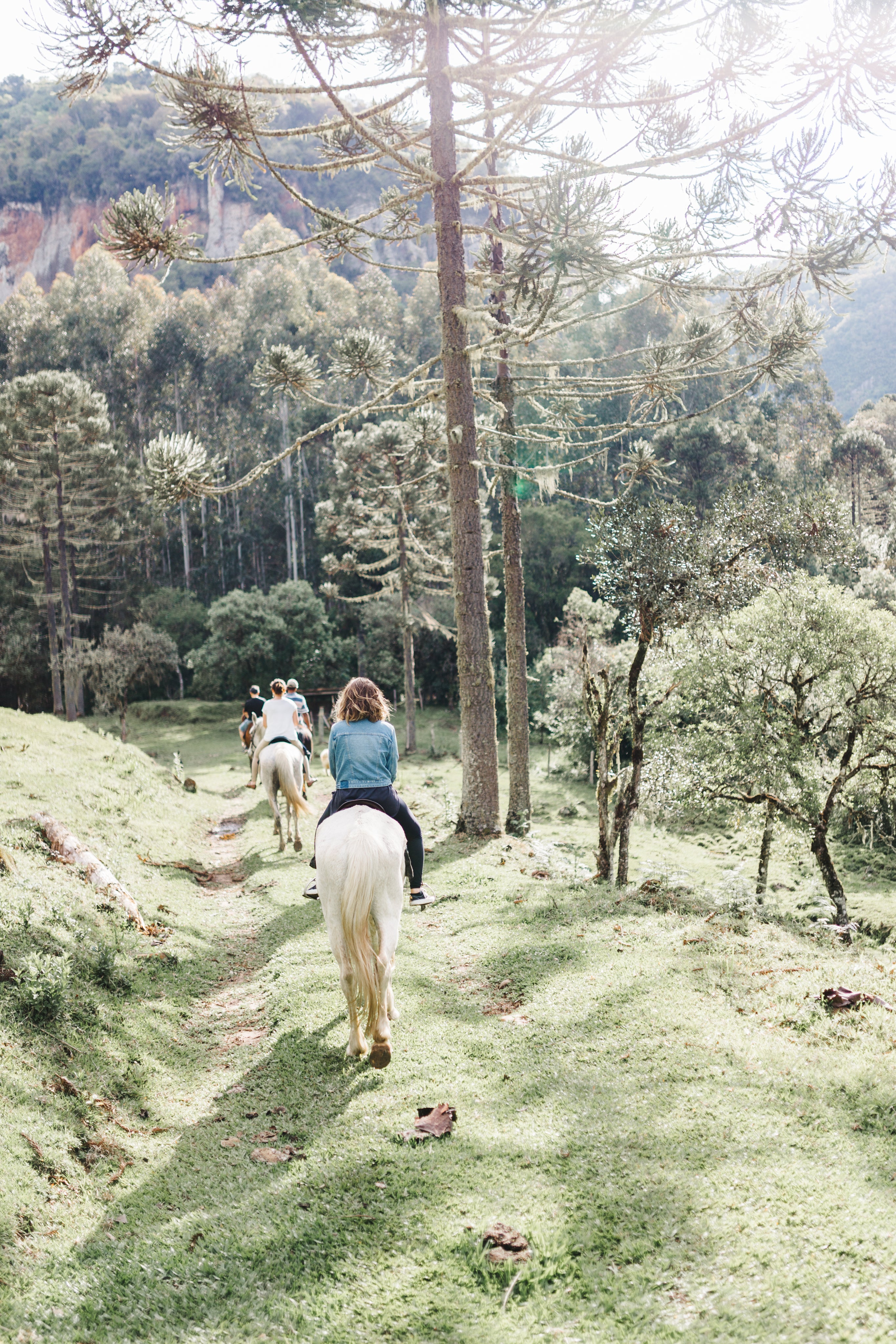 files/people-ride-white-horses-on-a-green-pathway.jpg