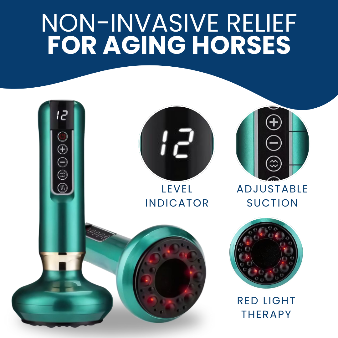 Chevaroo Horse Red Light Cupping Therapy
